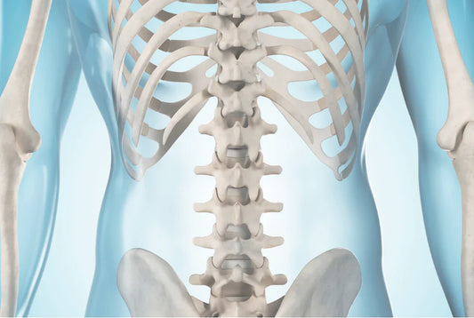 Your Body Isn’t an Algorithm: How We Approach Musculoskeletal Health at Jyzen