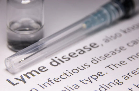 Discovering Holistic Lyme Disease Recovery