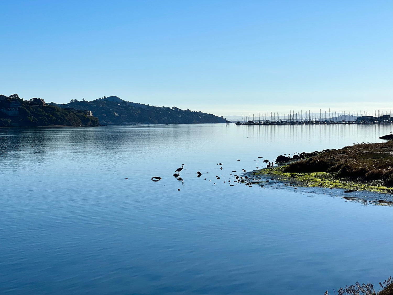 A lake with hills on the background