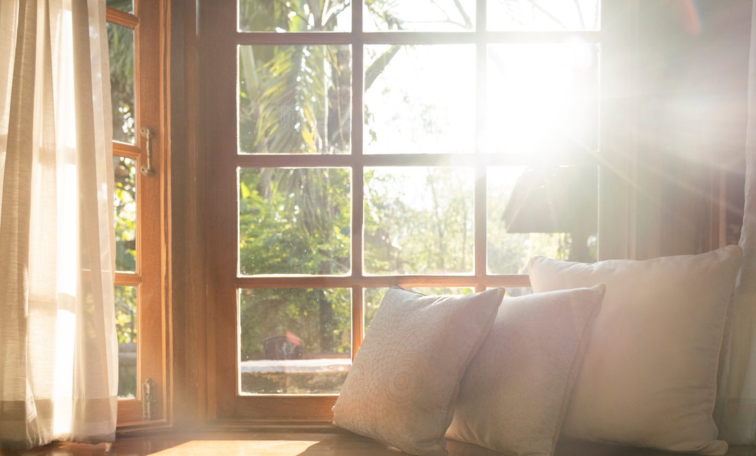 The Ultimate Daily Longevity Routine: How Dr. Beth Builds Cellular Resilience and Lifelong Vitality