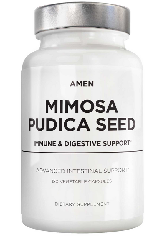 Amen Mimosa Pudica Seed